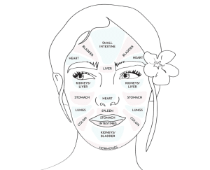 How your acne connects the skin to your internal health. Learn what each facial zone means to heal from the inside out.